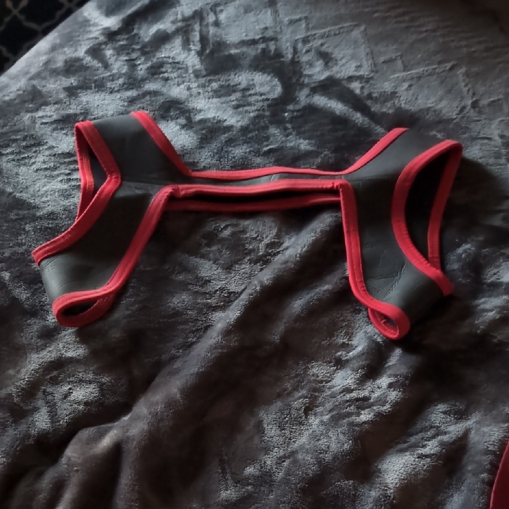 This Is A Mr S Leather Neoprene Chess Harness